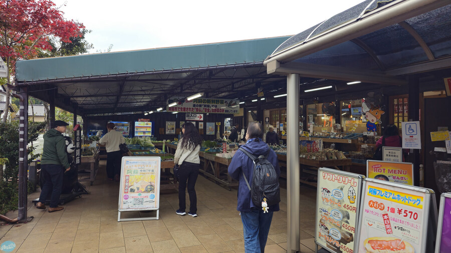 인생 최초로 접근해본 활화산 화구.. 후쿠오카 여행 3일차_130.jpg