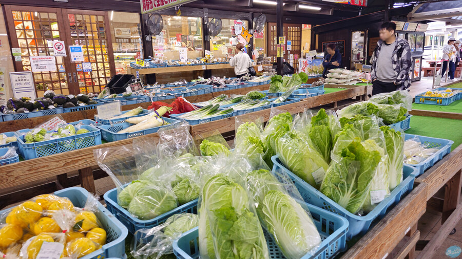 인생 최초로 접근해본 활화산 화구.. 후쿠오카 여행 3일차_132.jpg