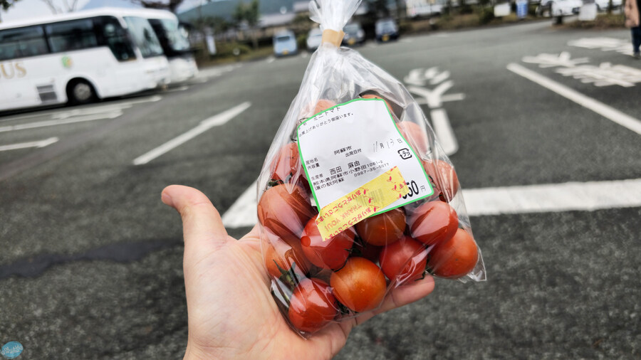 인생 최초로 접근해본 활화산 화구.. 후쿠오카 여행 3일차_135.jpg