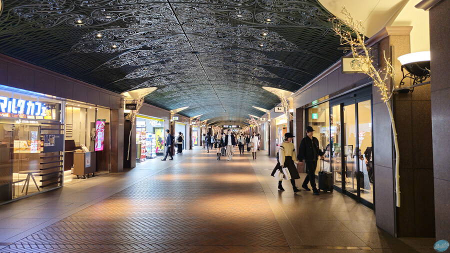 인생 최초로 접근해본 활화산 화구.. 후쿠오카 여행 3일차_153.jpg