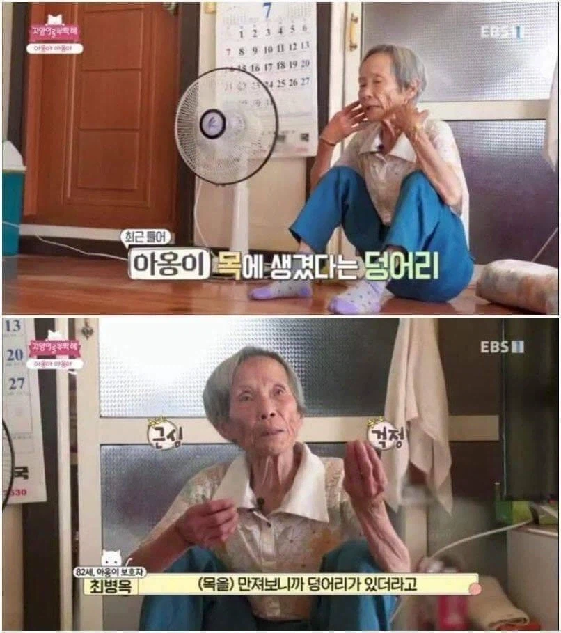 충격 야옹이 목에 생긴 덩어리의 정체_1.webp