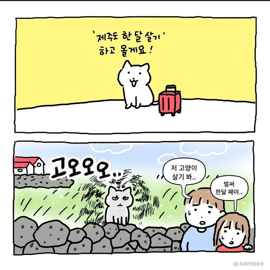 '제주도 한달 살기'하고 올께요!_1.webp