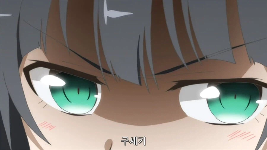 애니 스트리밍 시대로 접어들며 보기 어려워진 것.jpg_6.webp