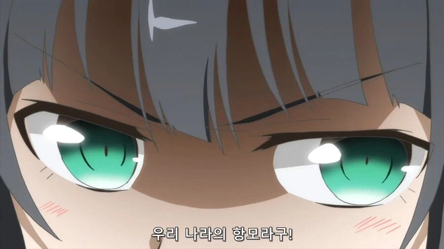 애니 스트리밍 시대로 접어들며 보기 어려워진 것.jpg_8.webp