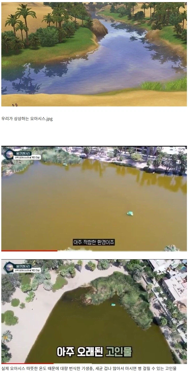 오아시셔 물 마시면 안되는 이유.jpg_1.webp