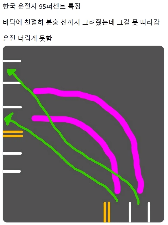 한국 운전자의 95% 특징.jpg_1.webp