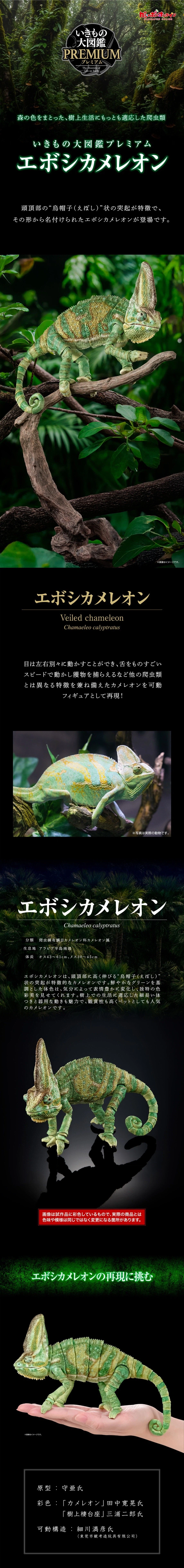 [반다이가샤폰] 생물대도감 프리미엄 베일드 카멜레온_1.webp