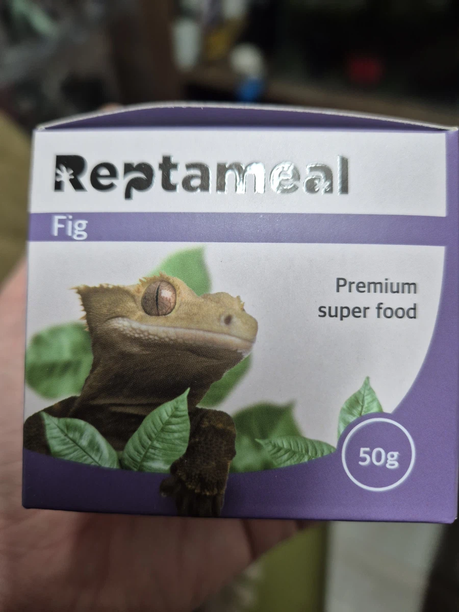 피게)알료샤의 밥_2.webp