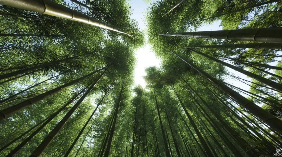 포르자 : 호라이즌 6 스크린샷 (한국어 더빙 지원)_11.webp