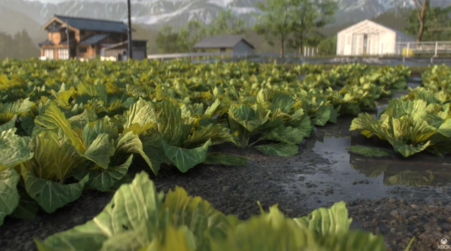 포르자 : 호라이즌 6 스크린샷 (한국어 더빙 지원)_33.webp