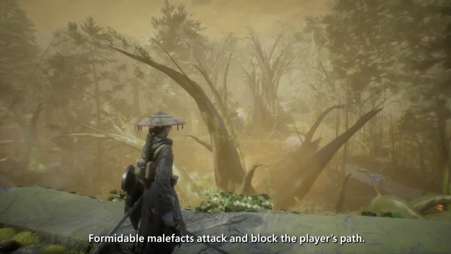 '비스트 오브 리인카네이션' 세부 사항 공개_6.webp