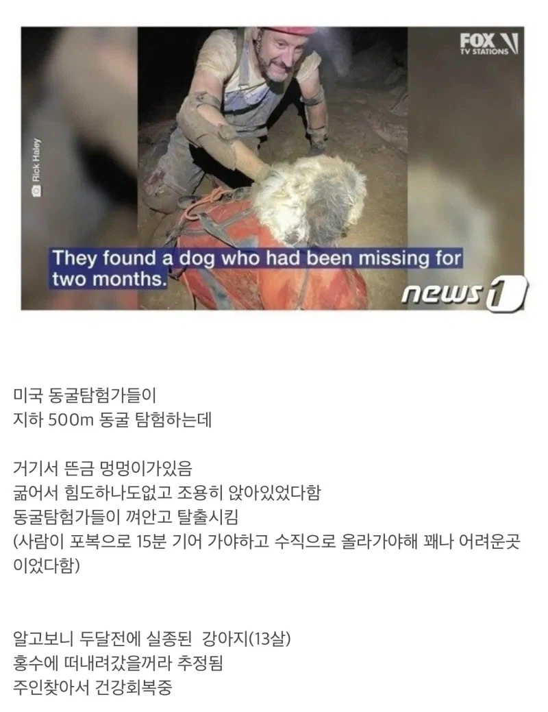 지하동굴 탐험하다가 발견 된 생물.jpg_2.webp