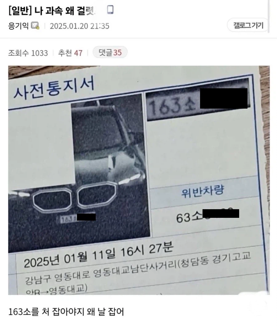 개 억울하게 과속 걸린 디씨인_1.webp