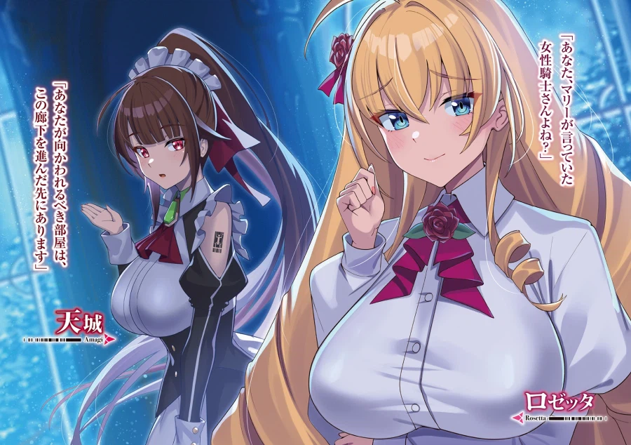 나는 성간국가의 영웅기사! 5권 일러스트_3.webp