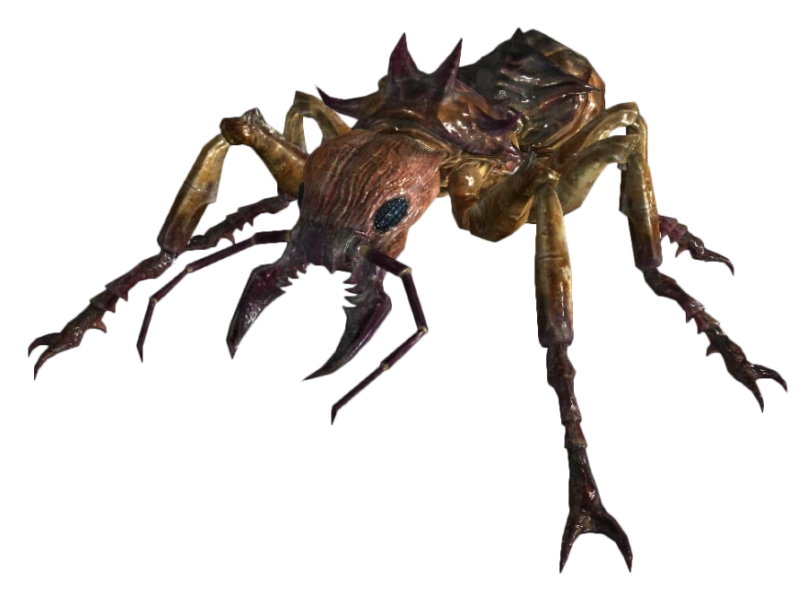 폴아웃)혐) 거대개미 의외의 사실_1.webp