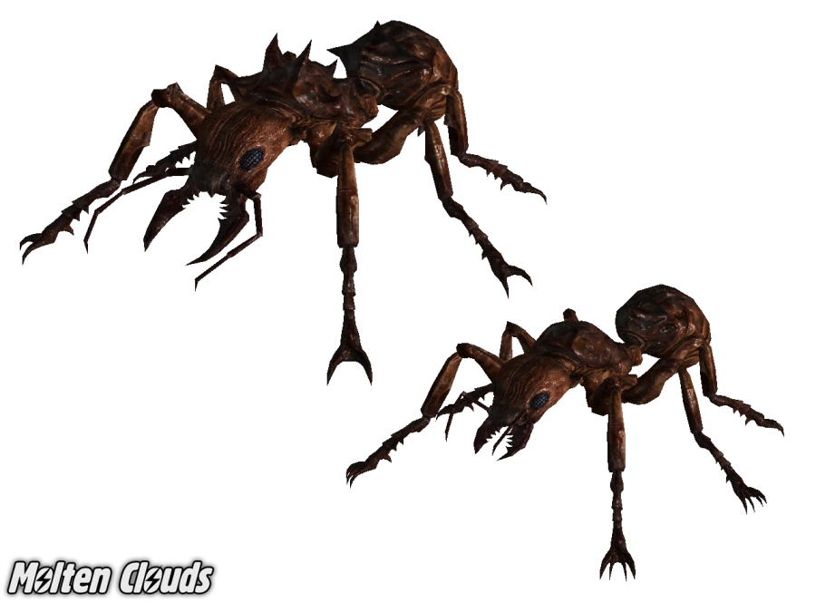 폴아웃)혐) 거대개미 의외의 사실_2.webp