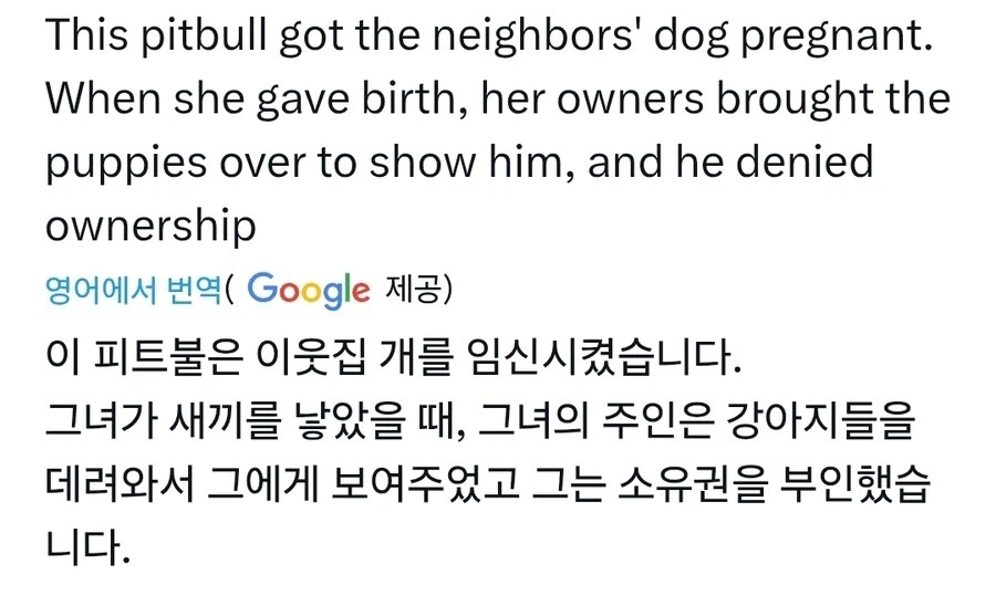 저기… 얘 니 새끼거든…? 얼굴이나 함 보지 그래??.jpgif_1.webp