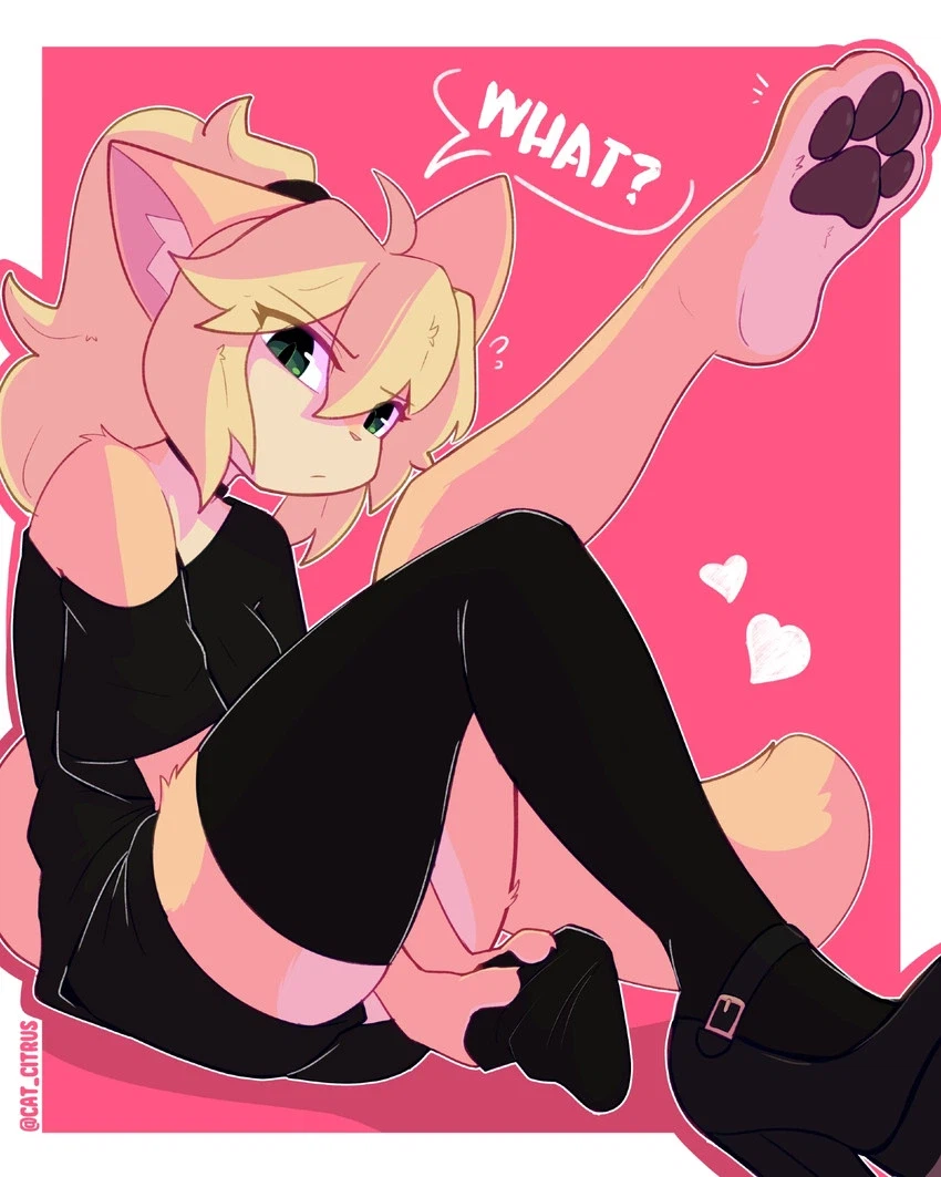 모닝의 퍼리퍼리야_4.webp