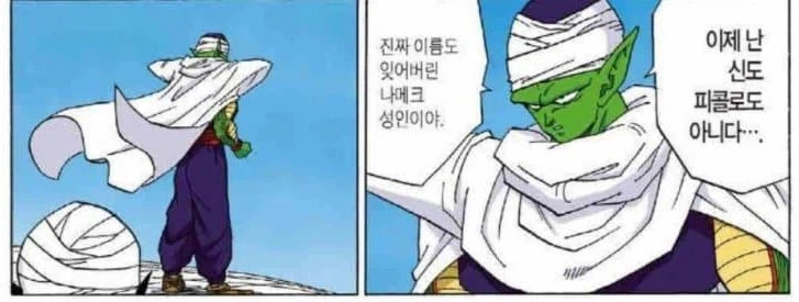 드래곤볼) 합리적 의심_6.webp