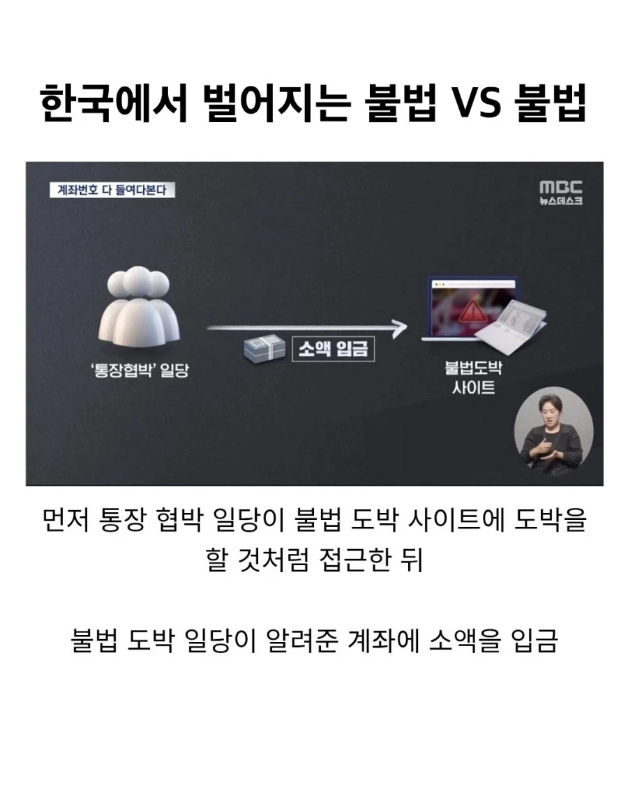 한국에서 벌어지는 불법 vs 불법 영역전개.jpg_1.webp