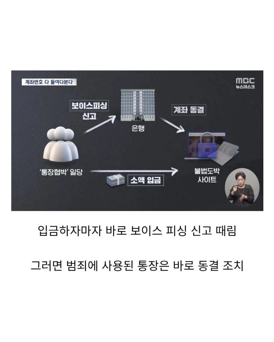 한국에서 벌어지는 불법 vs 불법 영역전개.jpg_2.webp
