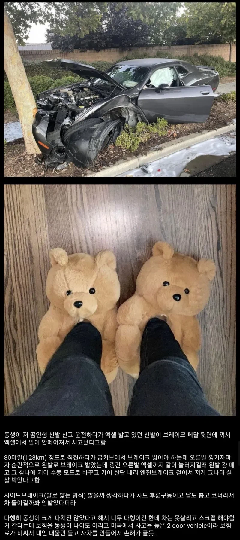 동생이 곰신발 때문에 사고났어요_1.webp