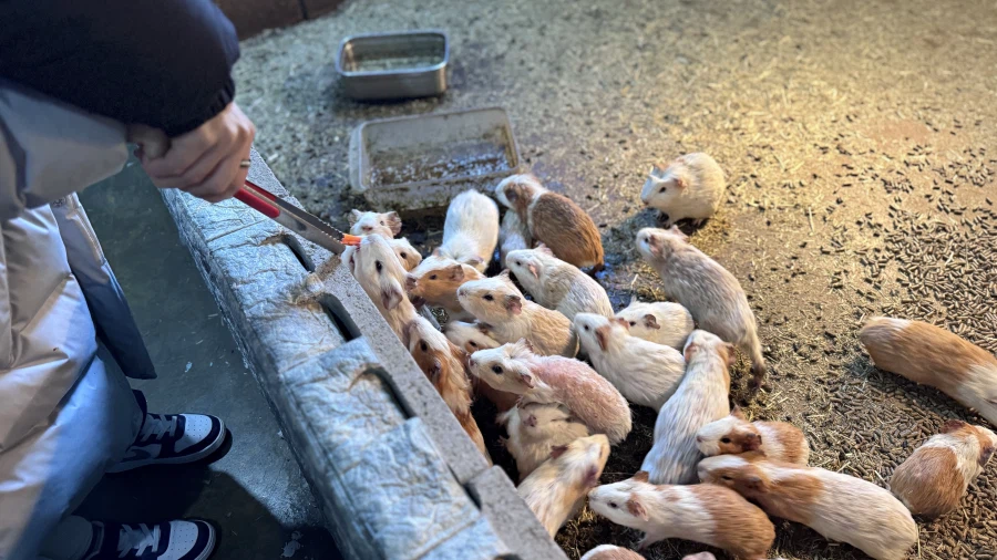 밖에서 밥 먹습니다 - 경기 파주, 어메이징빌리지_13.webp