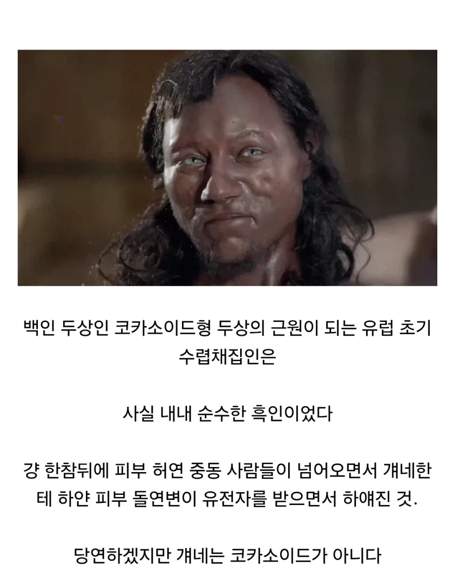 "백인우월자들이 경악할 사실" 베스트 글의 반박의 반박_1.webp