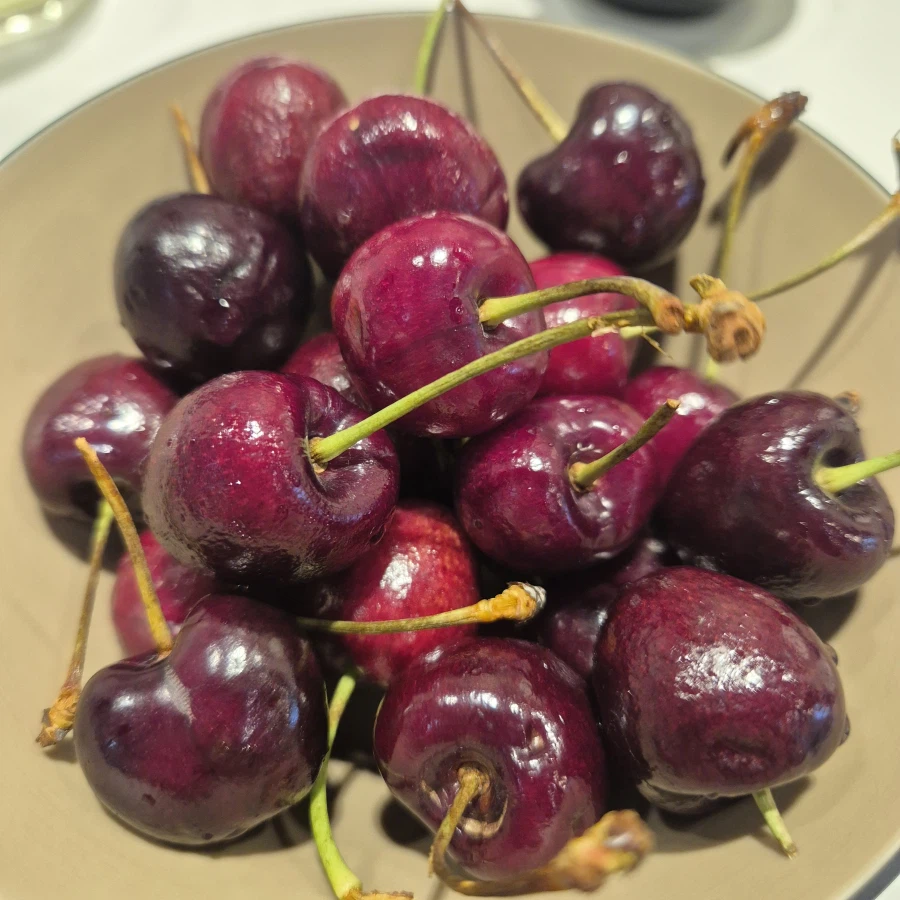 애슐리) 체리_3.webp