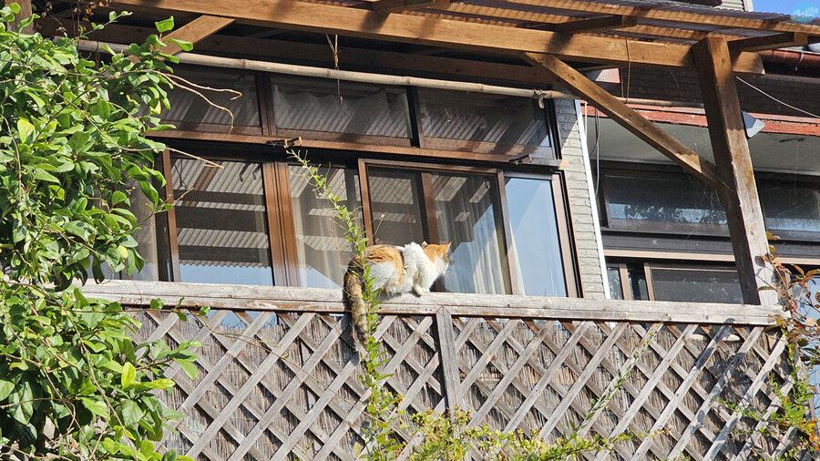 어디서 가본듯한 그 장소들?.. 후쿠오카 4~5일차 (完)_34.jpg