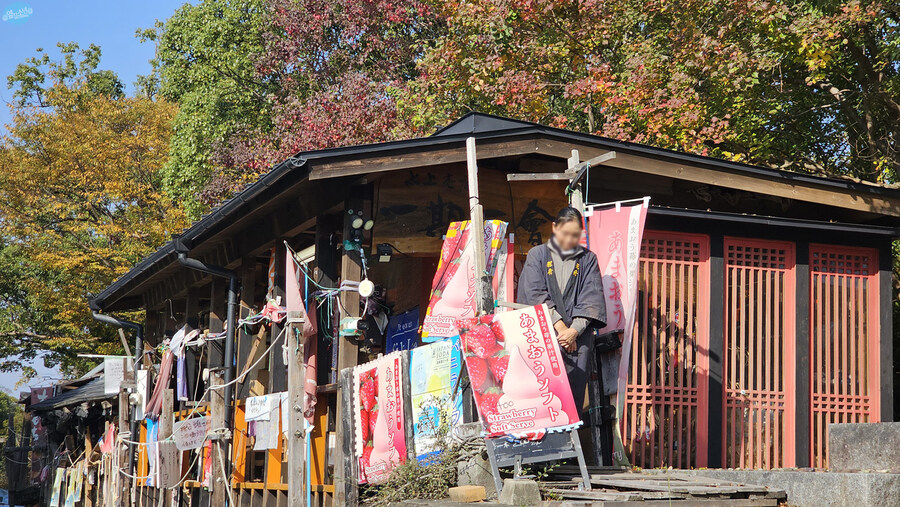 어디서 가본듯한 그 장소들?.. 후쿠오카 4~5일차 (完)_31.jpg