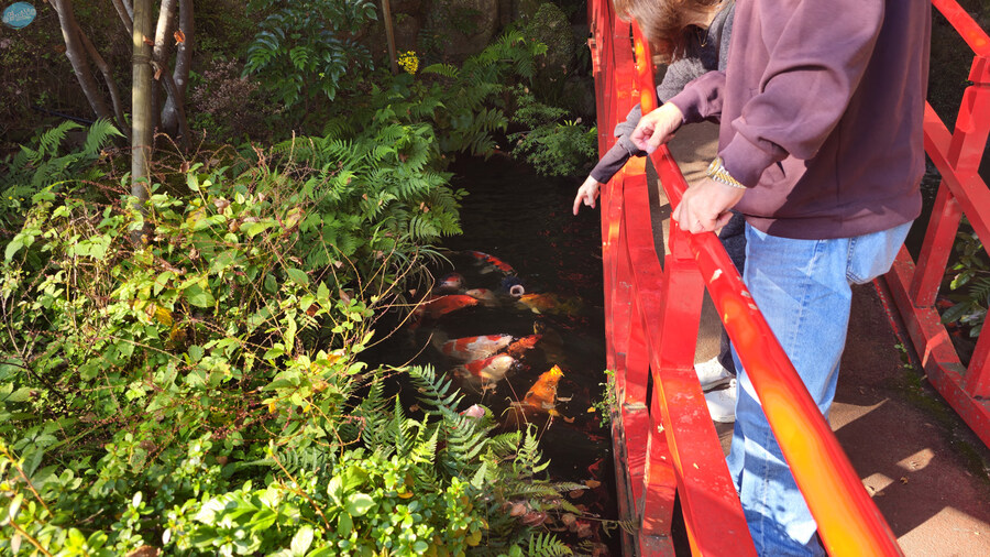 어디서 가본듯한 그 장소들?.. 후쿠오카 4~5일차 (完)_75.jpg