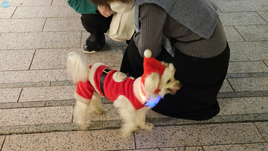 어디서 가본듯한 그 장소들?.. 후쿠오카 4~5일차 (完)_168.jpg