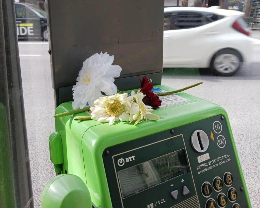 공중전화에 대량의 거베라) 체인소맨의 여파?_1.webp