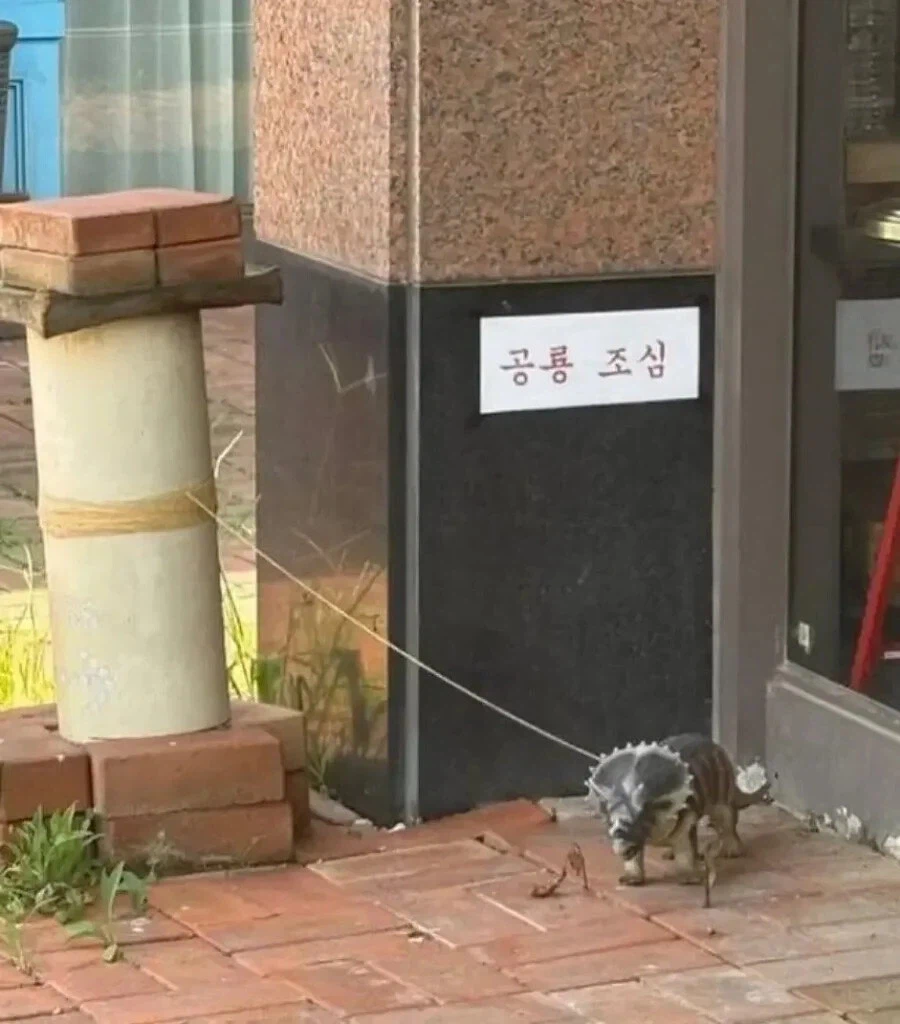 목줄 했으니까 괜찮다 vs 그래도 이건 아니다.jpg_1.webp