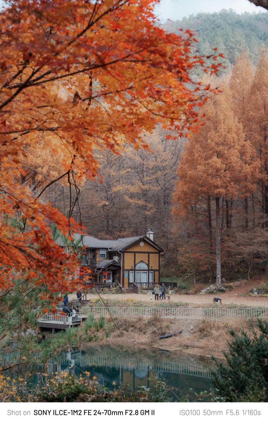 SEL2470GM2 | 24mm에서 70mm까지, 계륵 화각의 매력 - 여행_17.webp