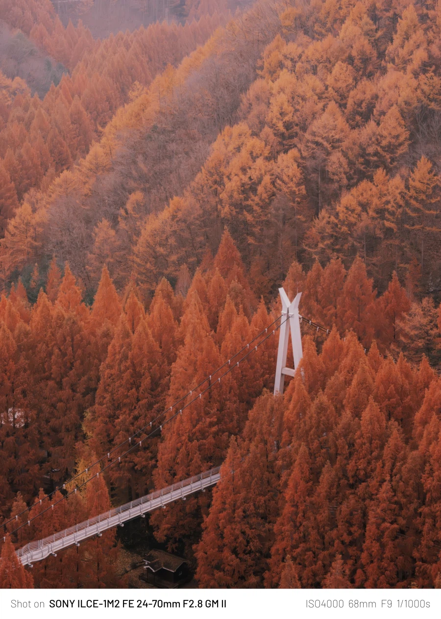 SEL2470GM2 | 24mm에서 70mm까지, 계륵 화각의 매력 - 여행_24.webp