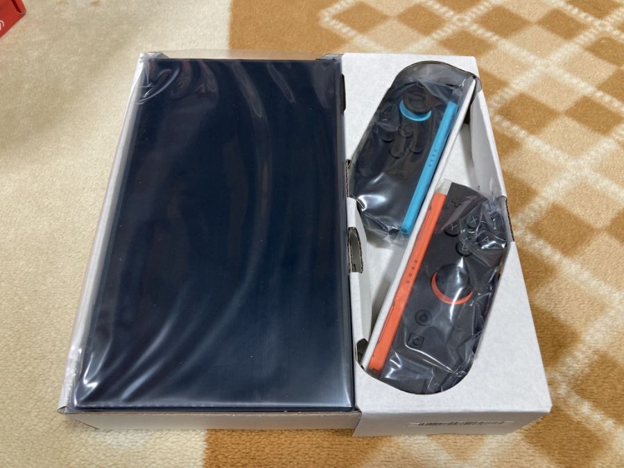 스위치 2 (NS2) 입문~ (일본판)_31.jpg