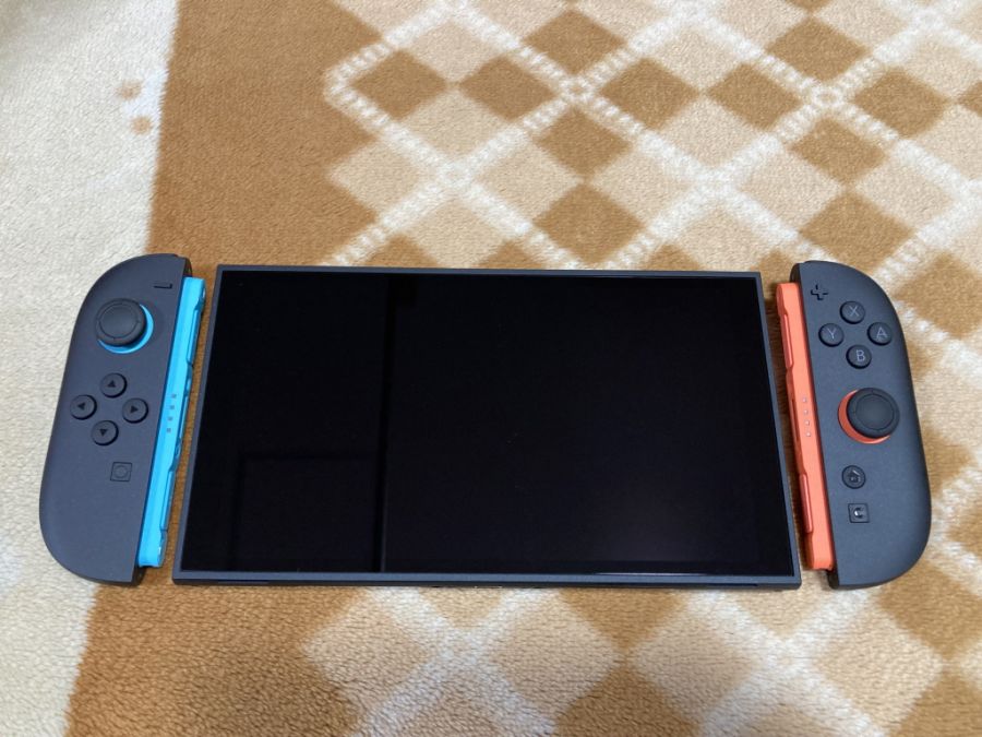 스위치 2 (NS2) 입문~ (일본판)_38.jpg