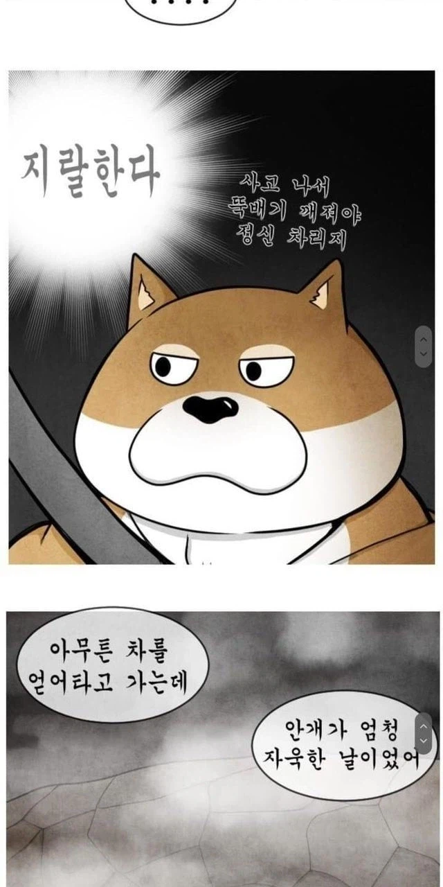 안전벨트는 위험하다_2.webp