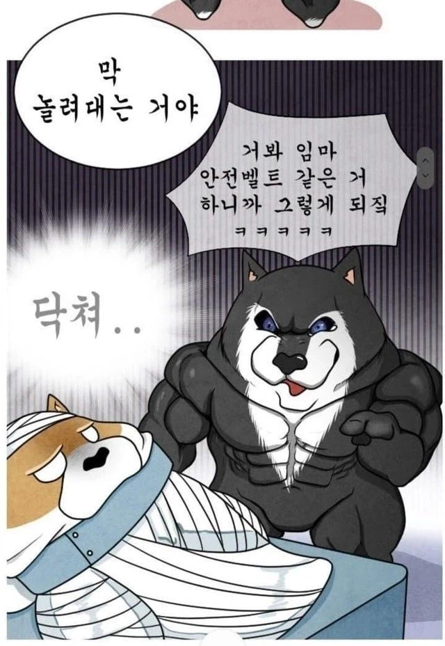 안전벨트는 위험하다_7.webp