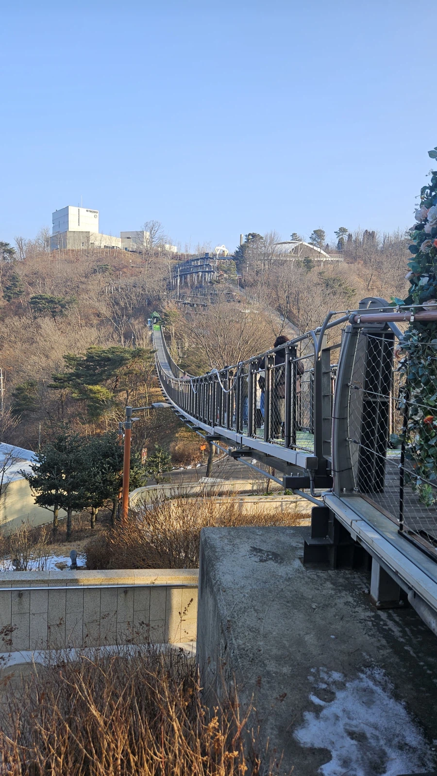 애기봉 등_1.webp