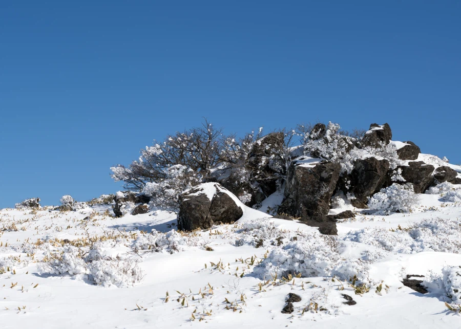 제주 윗세오름의 겨울_2.webp