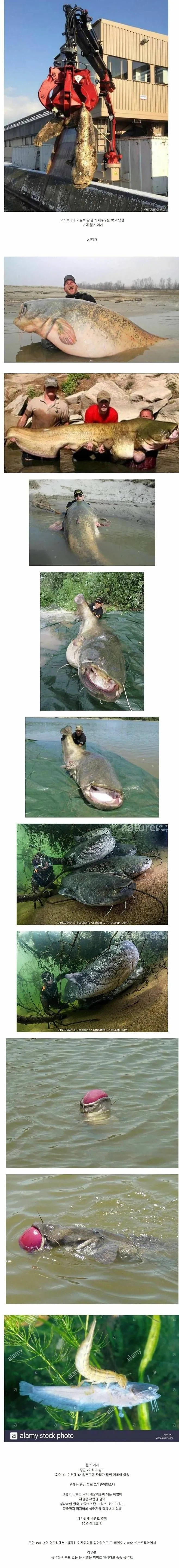 댐을 막고 있던 거대한 괴물의 정체_1.webp