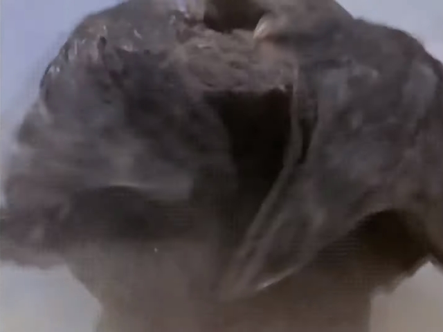 [초대 울트라맨] 괴수들의 삼파전_8.jpg