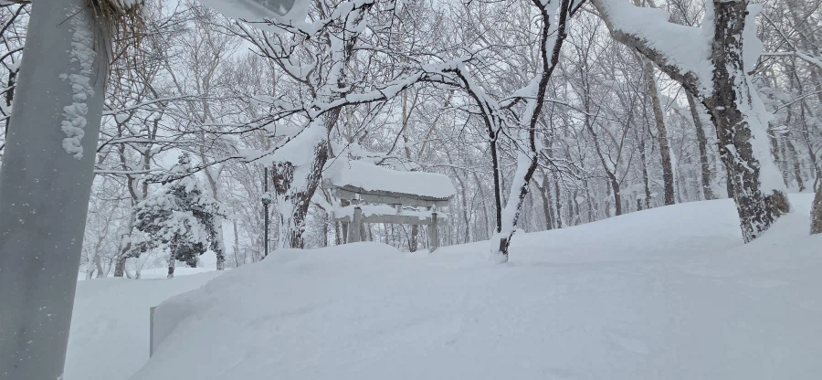 다른 눈이 보고 싶었던 오타루 여행기_22.webp