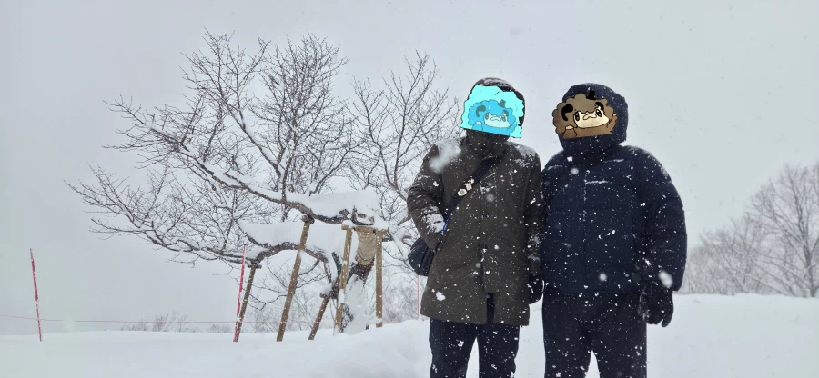 다른 눈이 보고 싶었던 오타루 여행기_28.webp