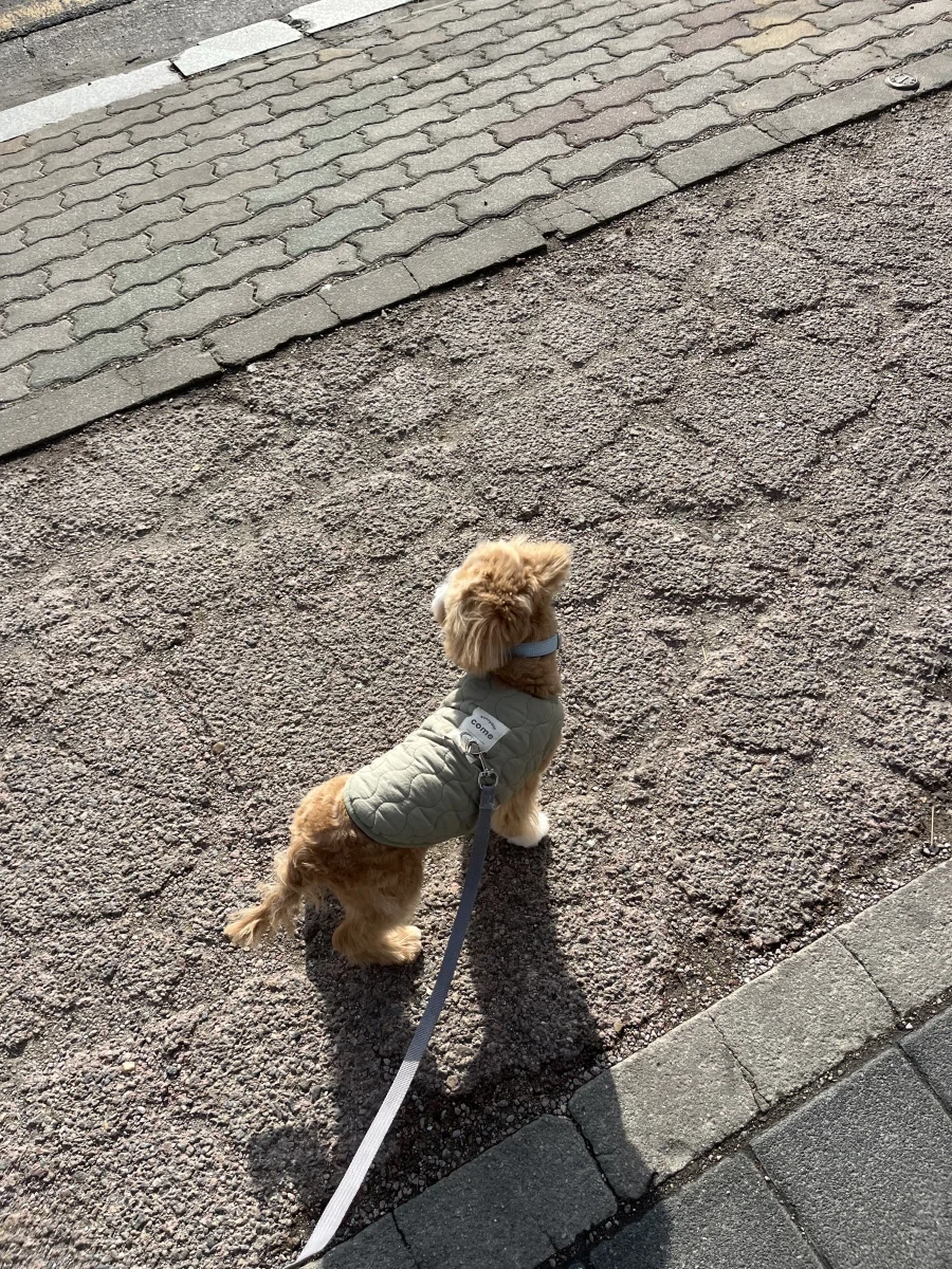 간만에 본가 가서 만나고 온_5.webp