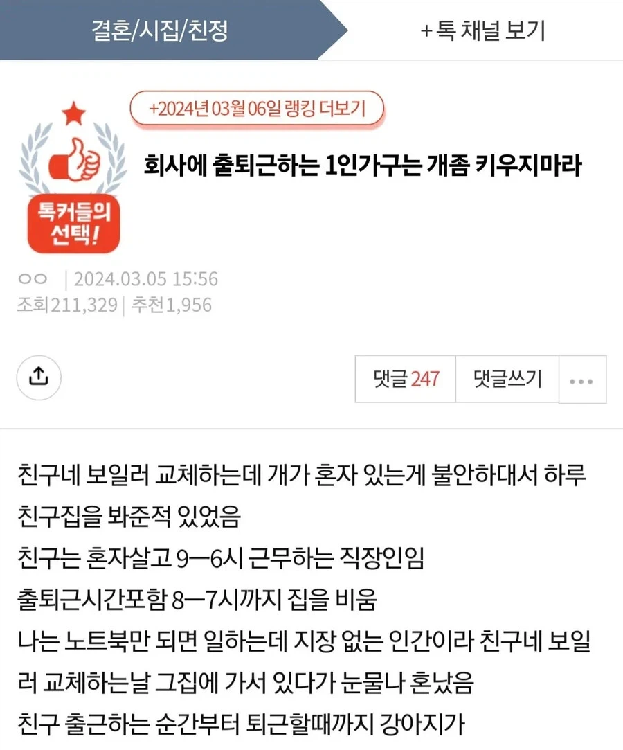 회사에 출퇴근하는 1인가구는 개 키우지 마라._1.webp