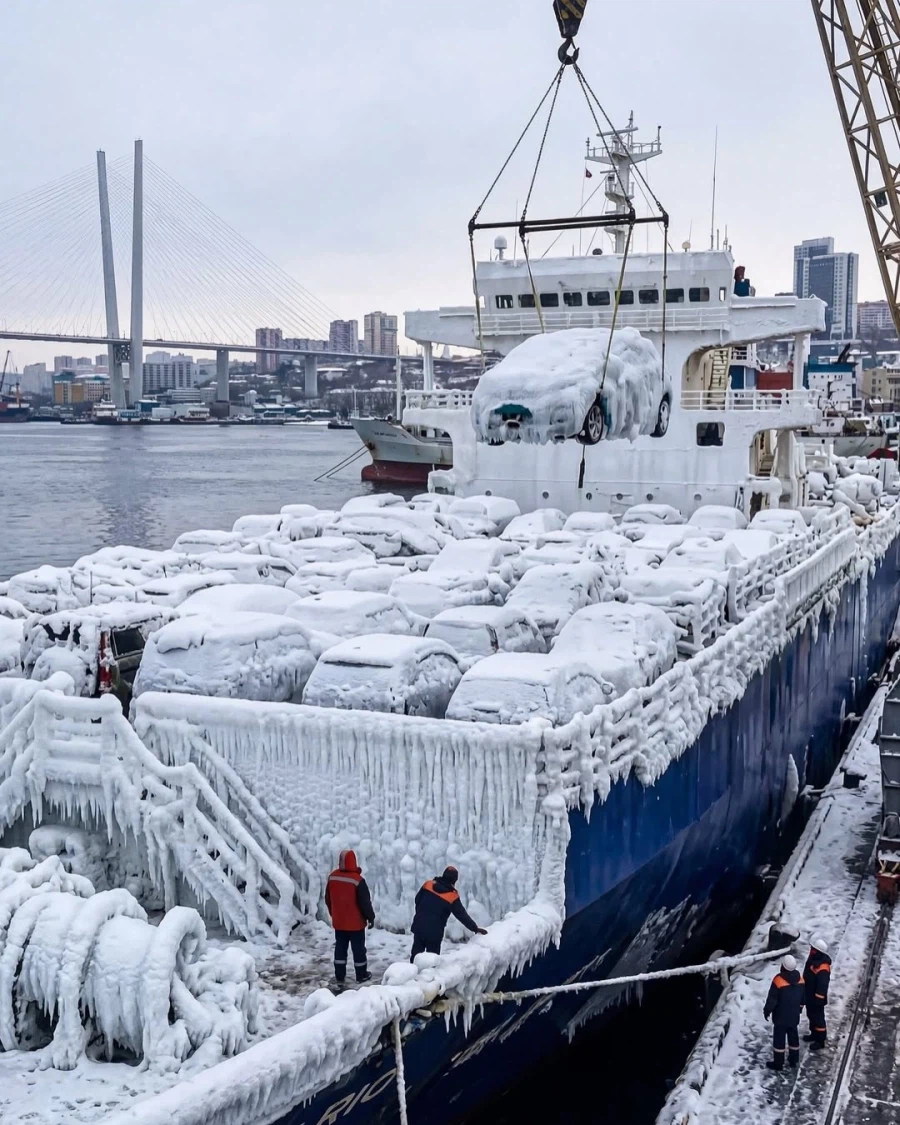 냉동고처럼 도착한 일본발 차량들.._3.webp